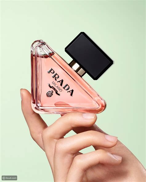 prada doxe parfum|prada paradoxe perfume boots.